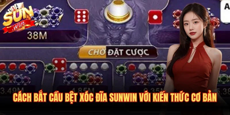 Cách bắt cầu bệt xóc đĩa Sunwin với kiến thức cơ bản