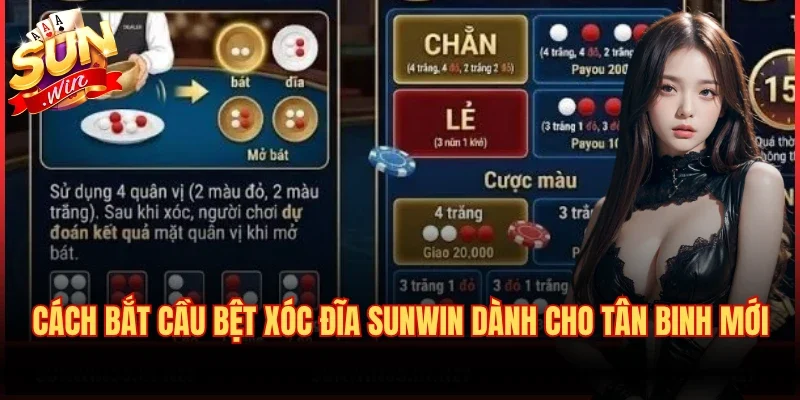Cách Bắt Cầu Bệt Xóc Đĩa Sunwin Dành Cho Tân Binh Mới