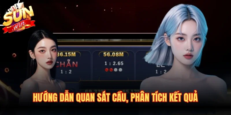 Hướng dẫn quan sát cầu, phân tích kết quả